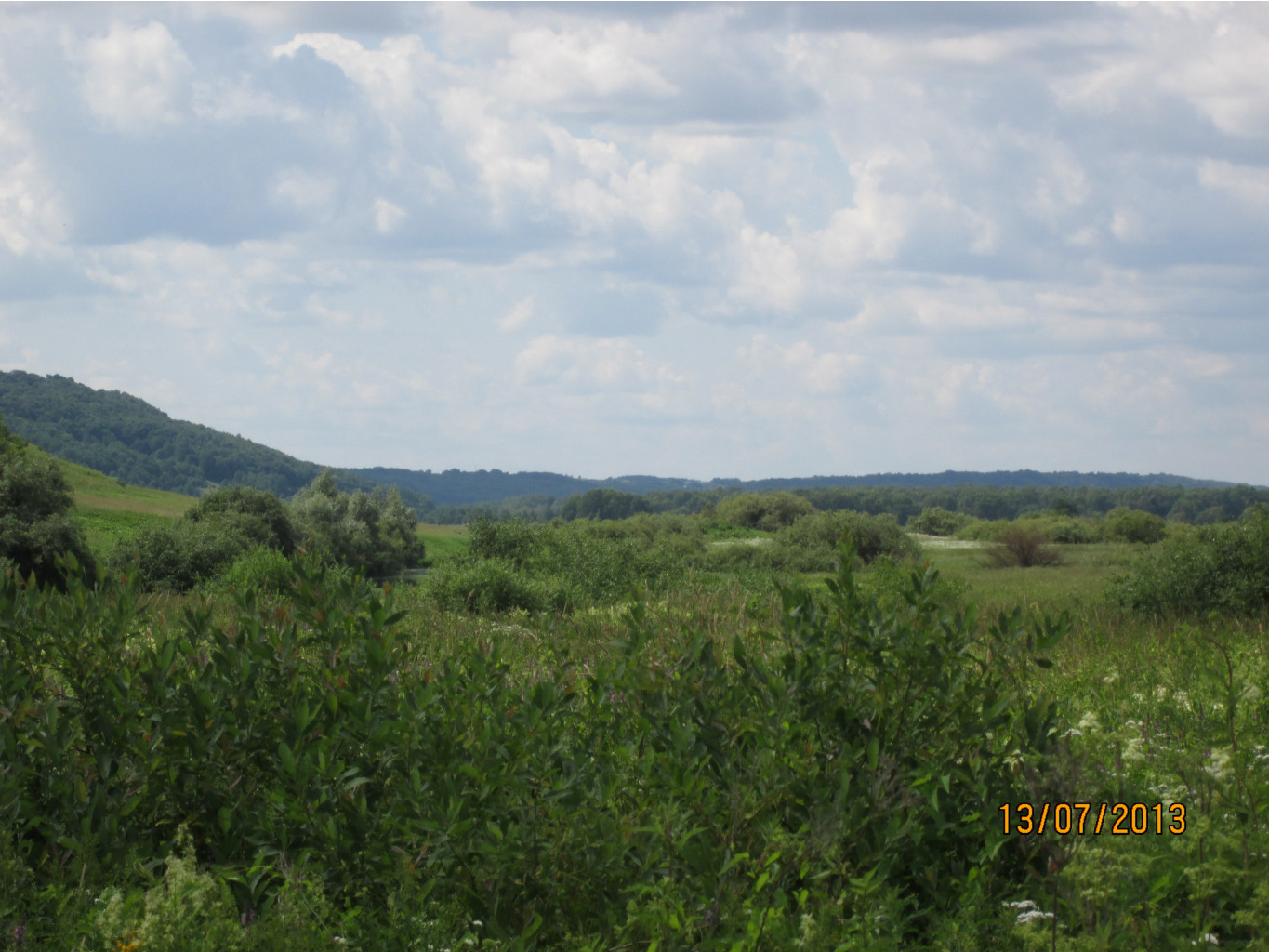 IMG_1211.JPG