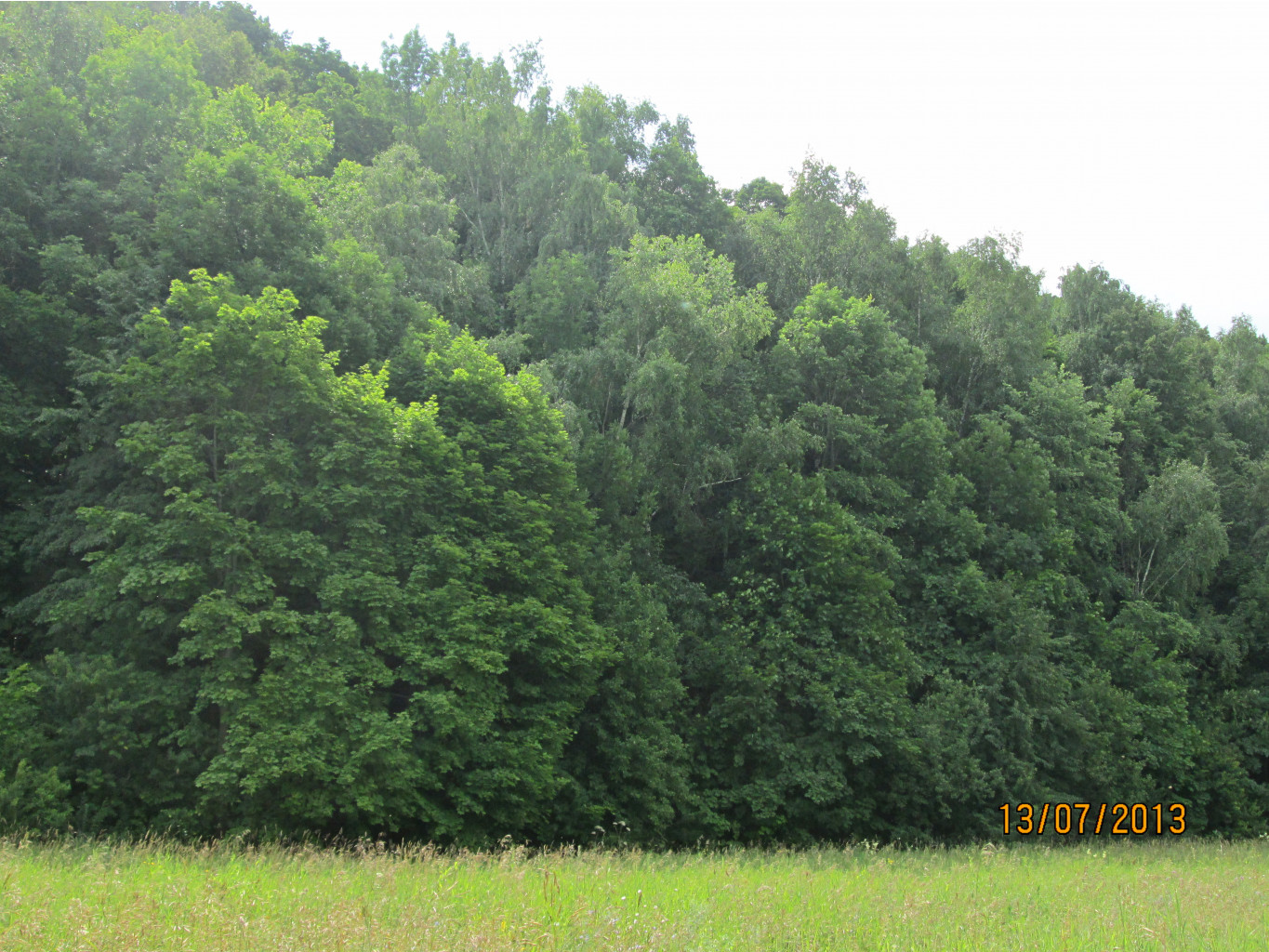 IMG_1215.JPG