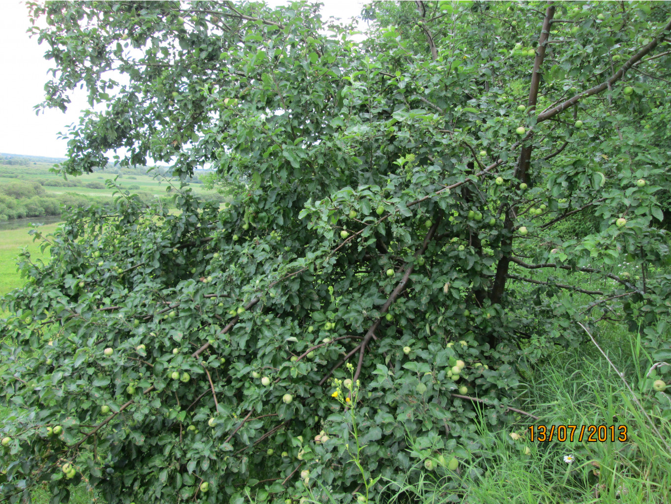 IMG_1253.JPG