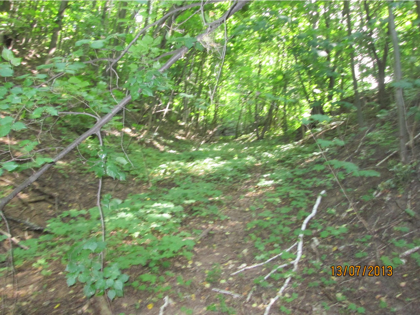 IMG_1333.JPG