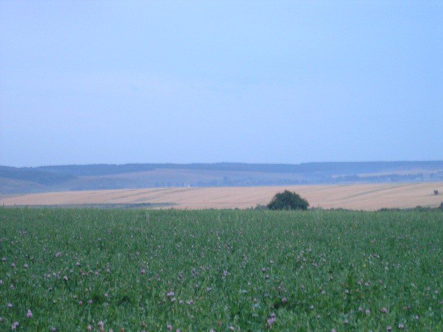 06.08.2007 19:08:38
