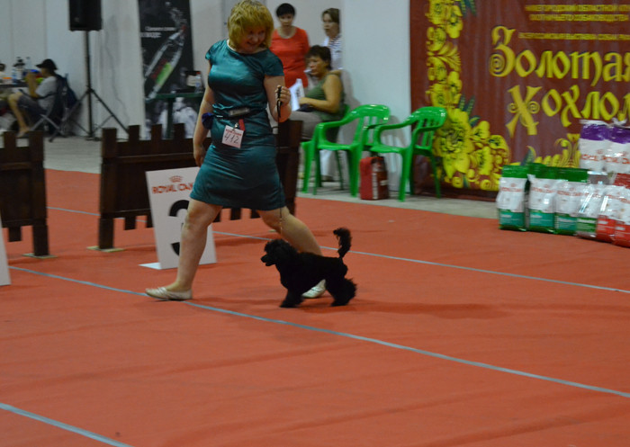 DSC_1655.JPG