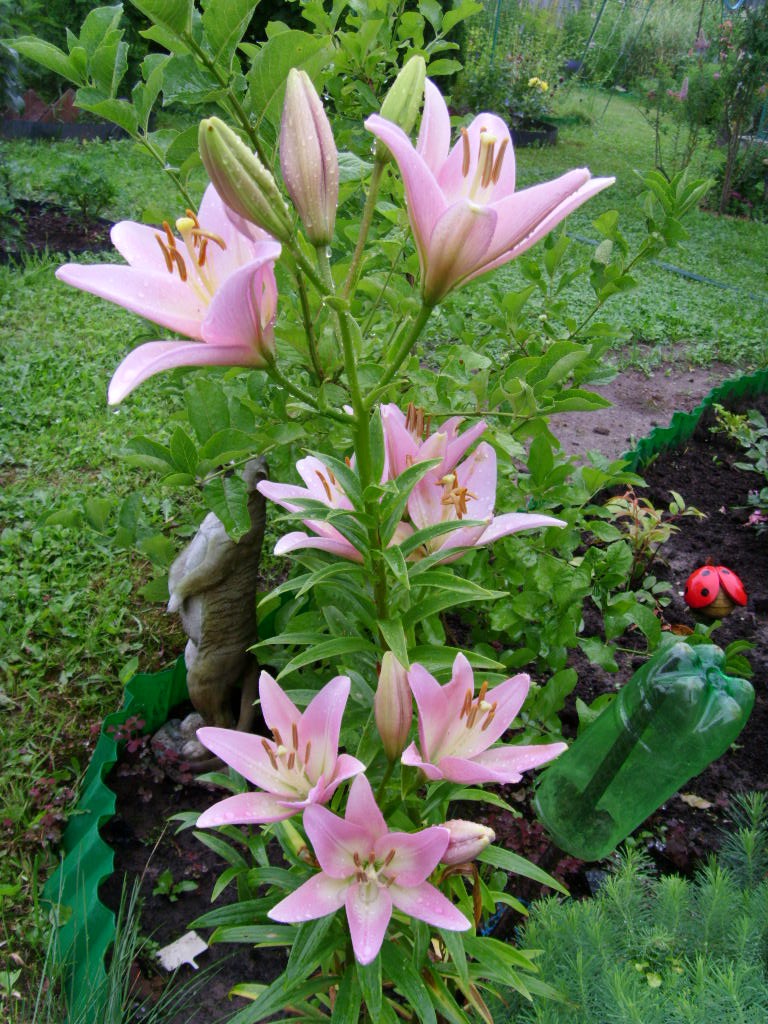 S73R5425.JPG