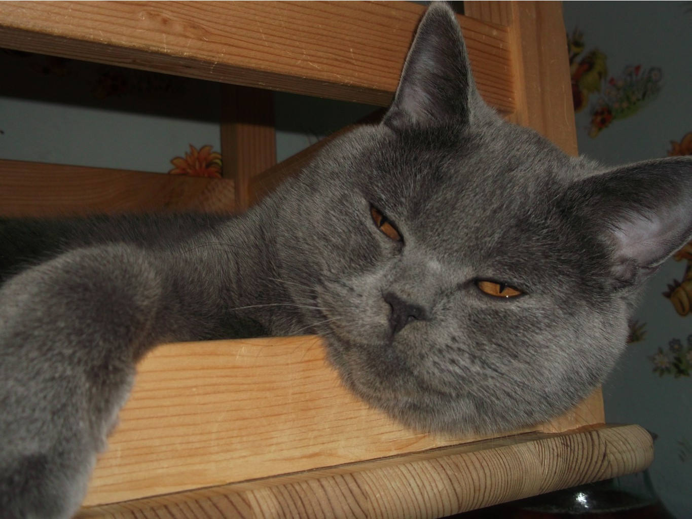 DSCF3290.JPG