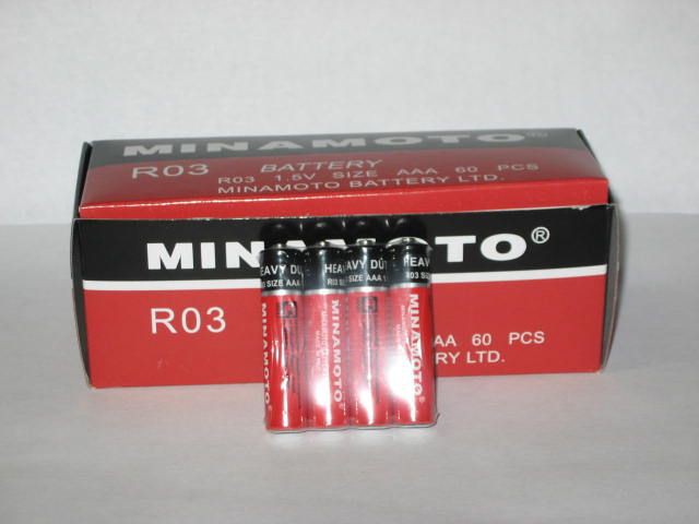 3.  Minamoto R03.jpg