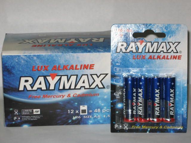 10.  RAYMAX LR06.jpg