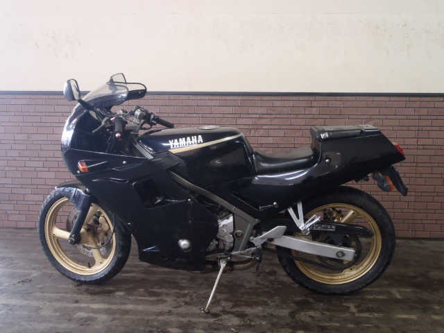 FZR250b.jpg