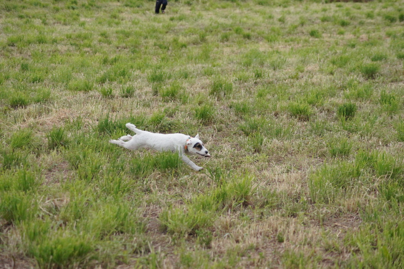 DSC00248.JPG