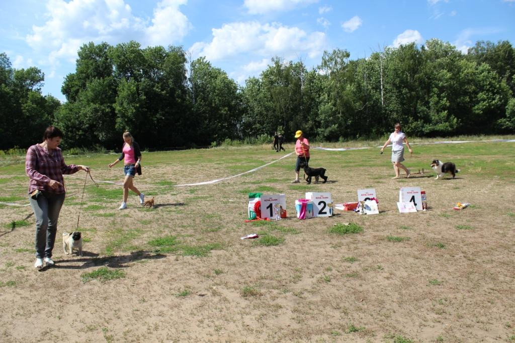 2013_07_21_9999_375.JPG
