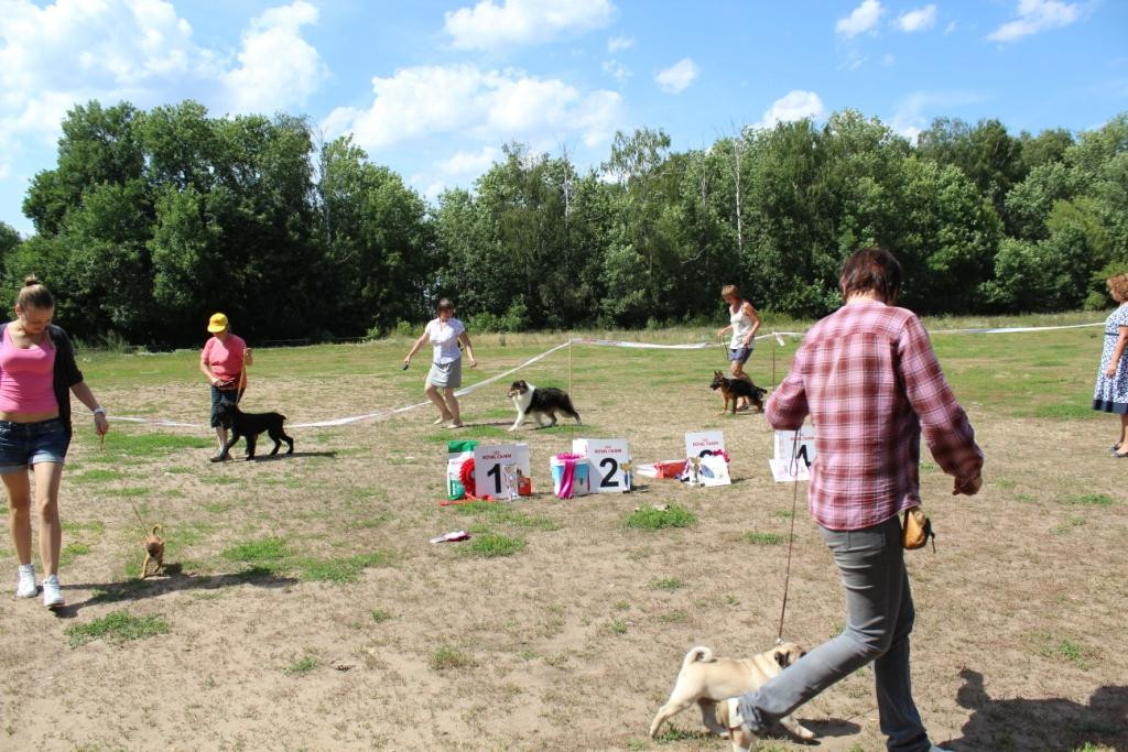 2013_07_21_9999_383.JPG