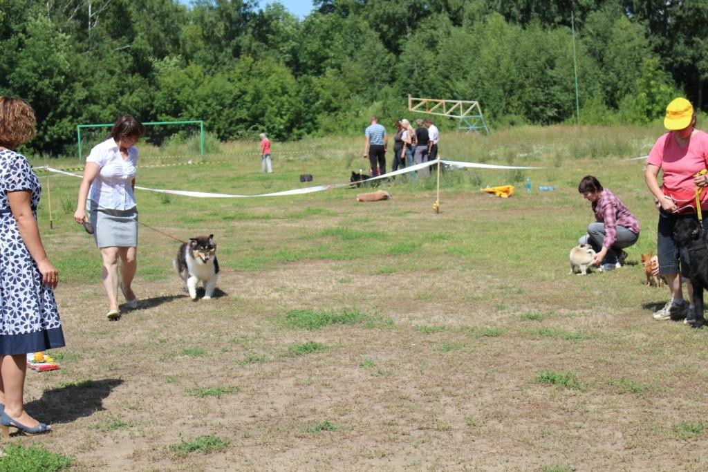 2013_07_21_9999_395.JPG