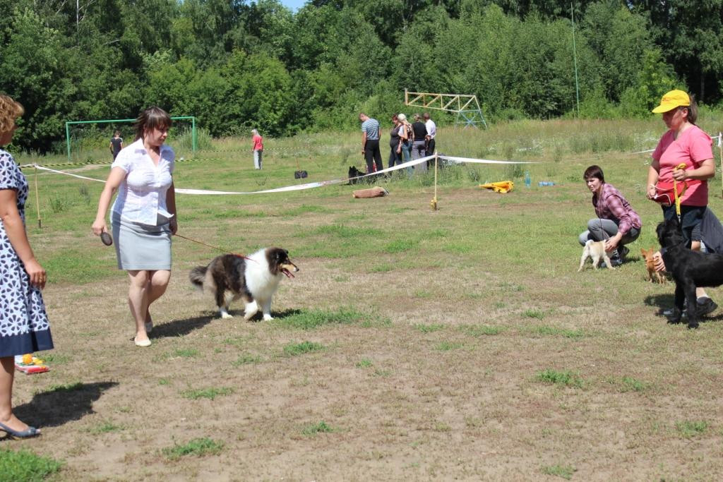 2013_07_21_9999_398.JPG