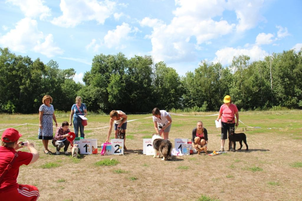 2013_07_21_9999_474.JPG