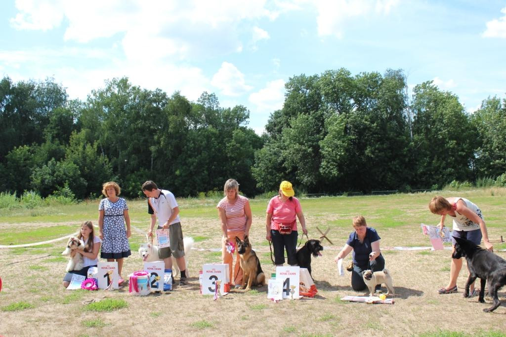 2013_07_21_9999_517.JPG