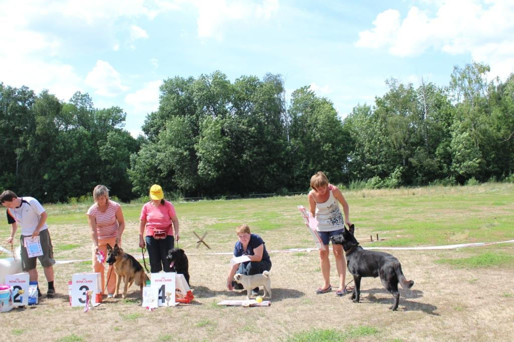 2013_07_21_9999_518.JPG