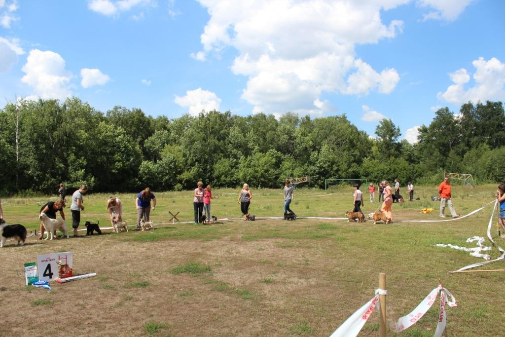 2013_07_21_9999_558.JPG