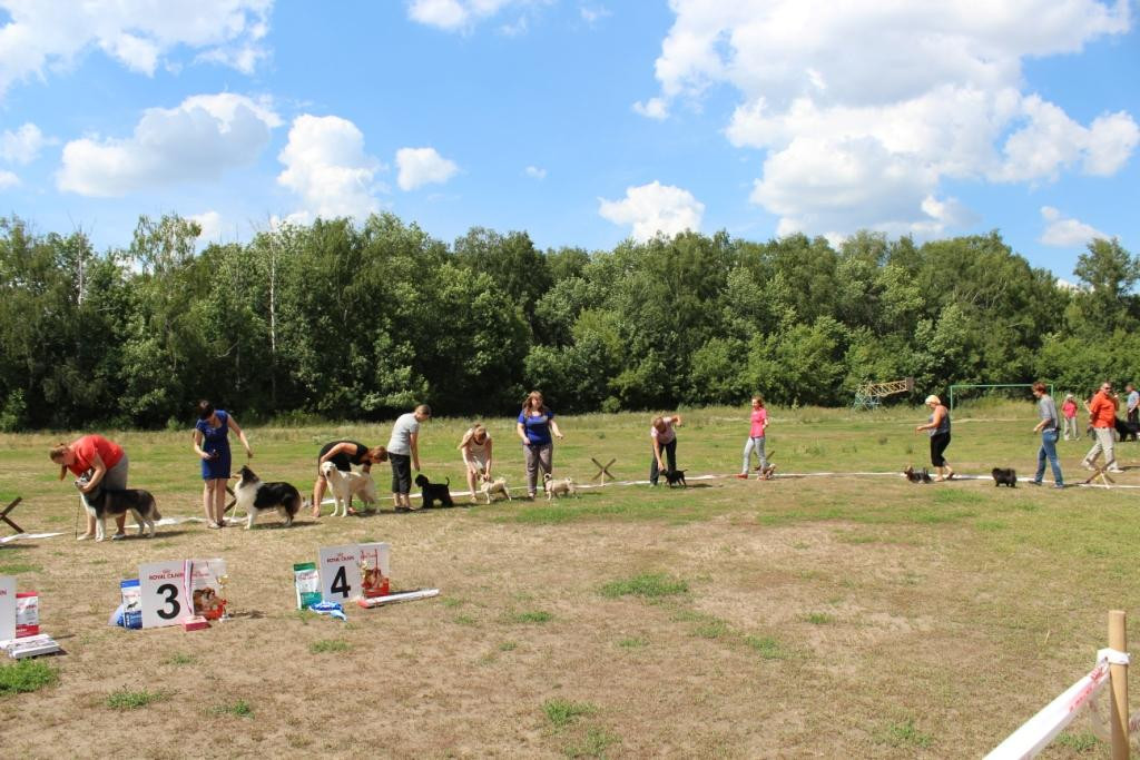 2013_07_21_9999_552.JPG