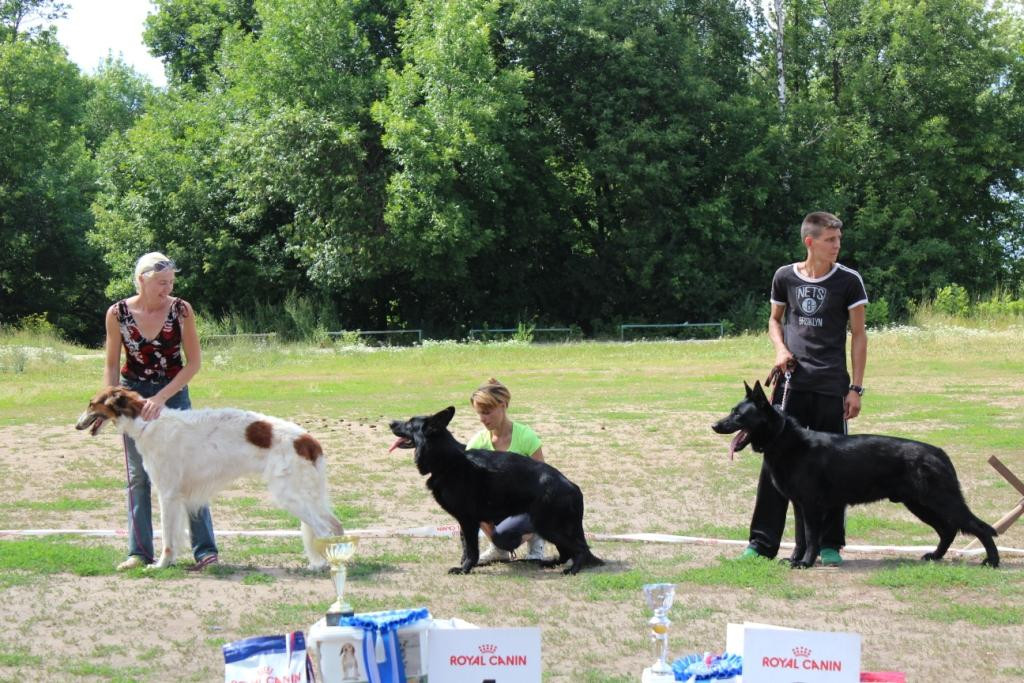 2013_07_21_9999_575.JPG