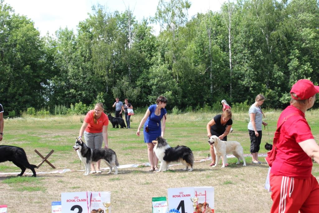 2013_07_21_9999_580.JPG