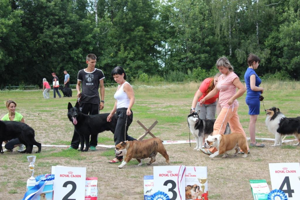 2013_07_21_9999_592.JPG