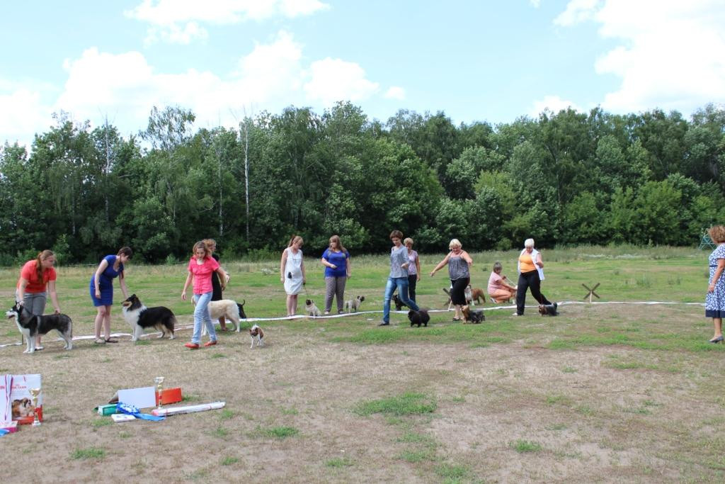 2013_07_21_9999_613.JPG