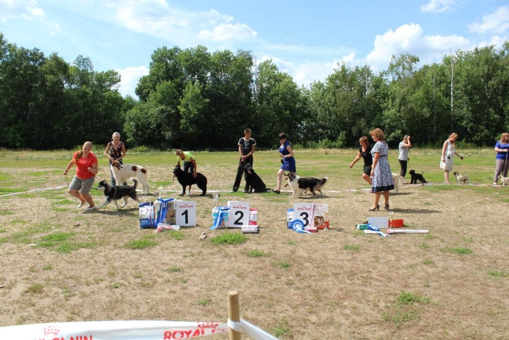 2013_07_21_9999_657.JPG