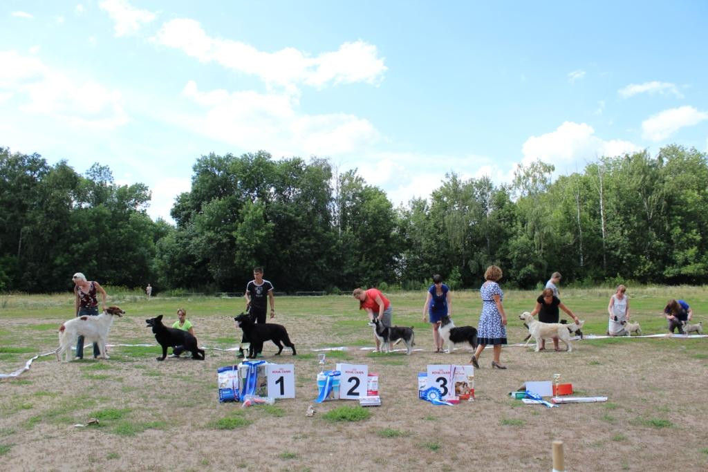 2013_07_21_9999_714.JPG