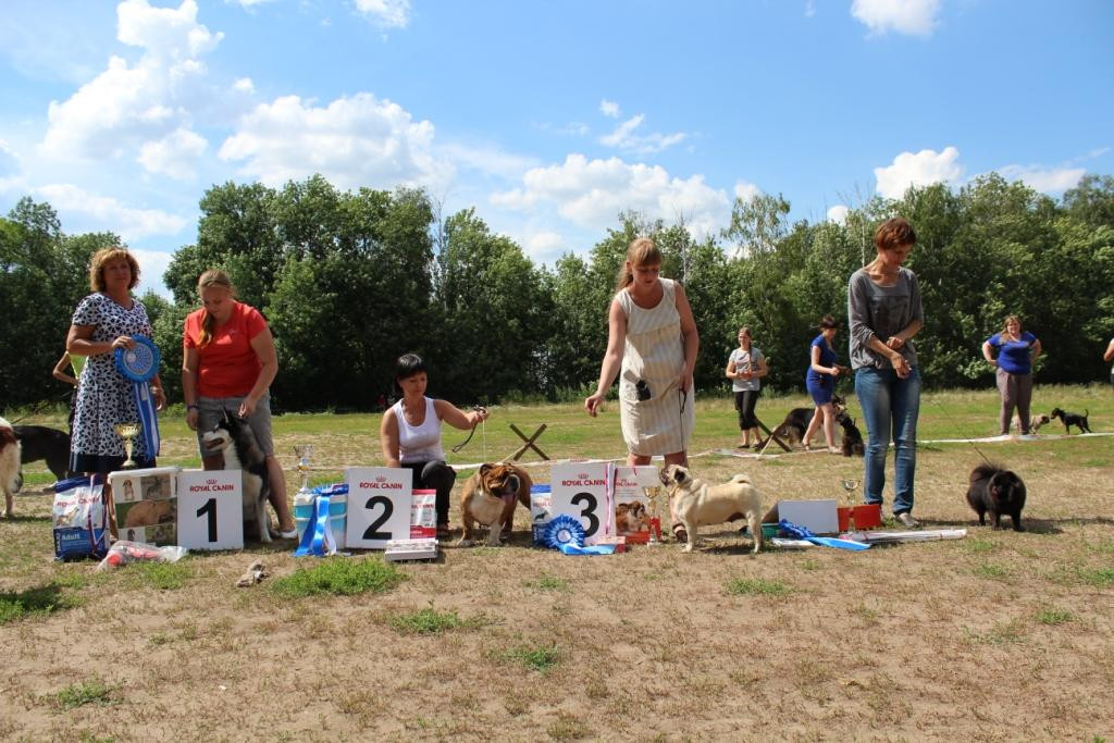 2013_07_21_9999_754.JPG