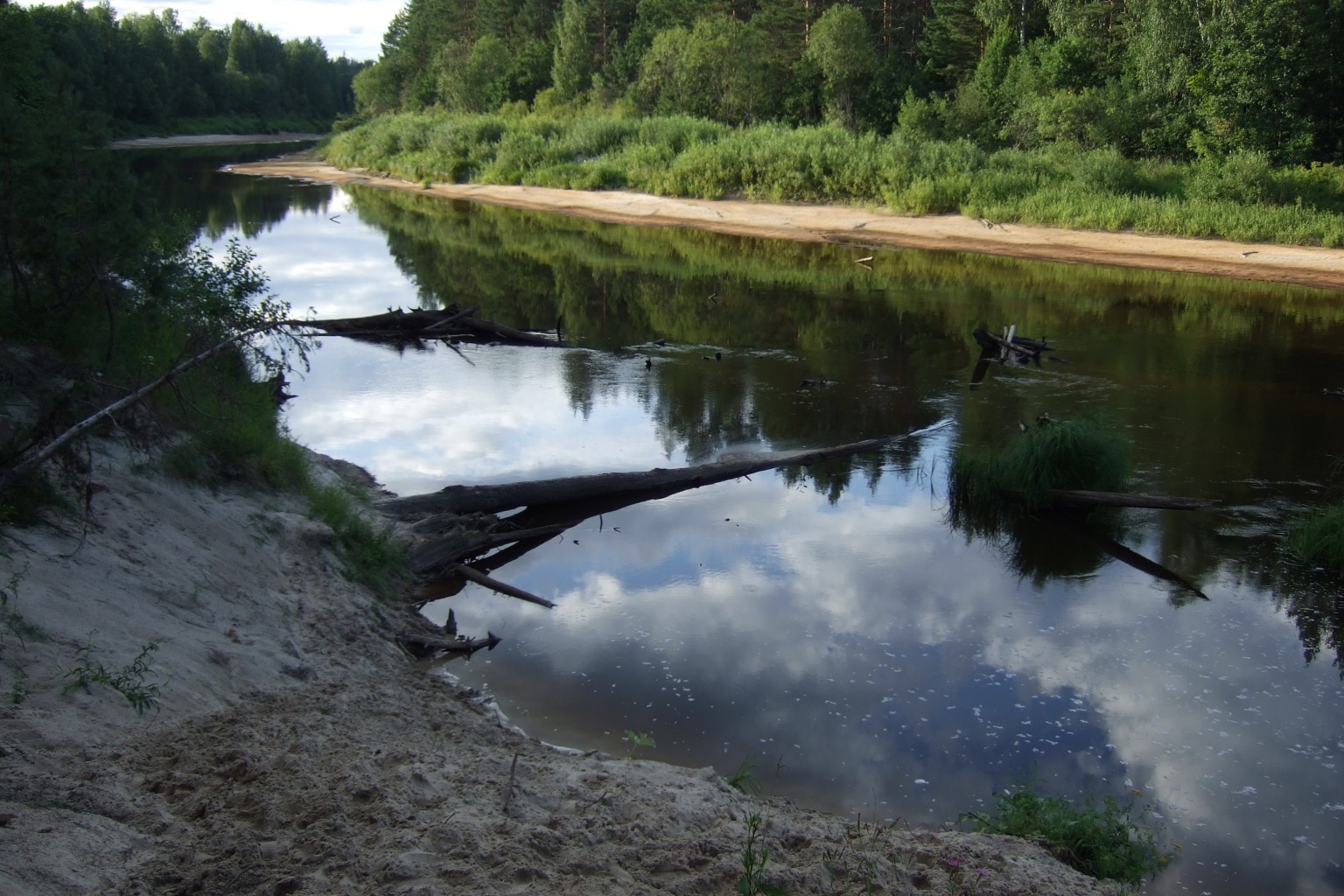 DSCF3295.jpg