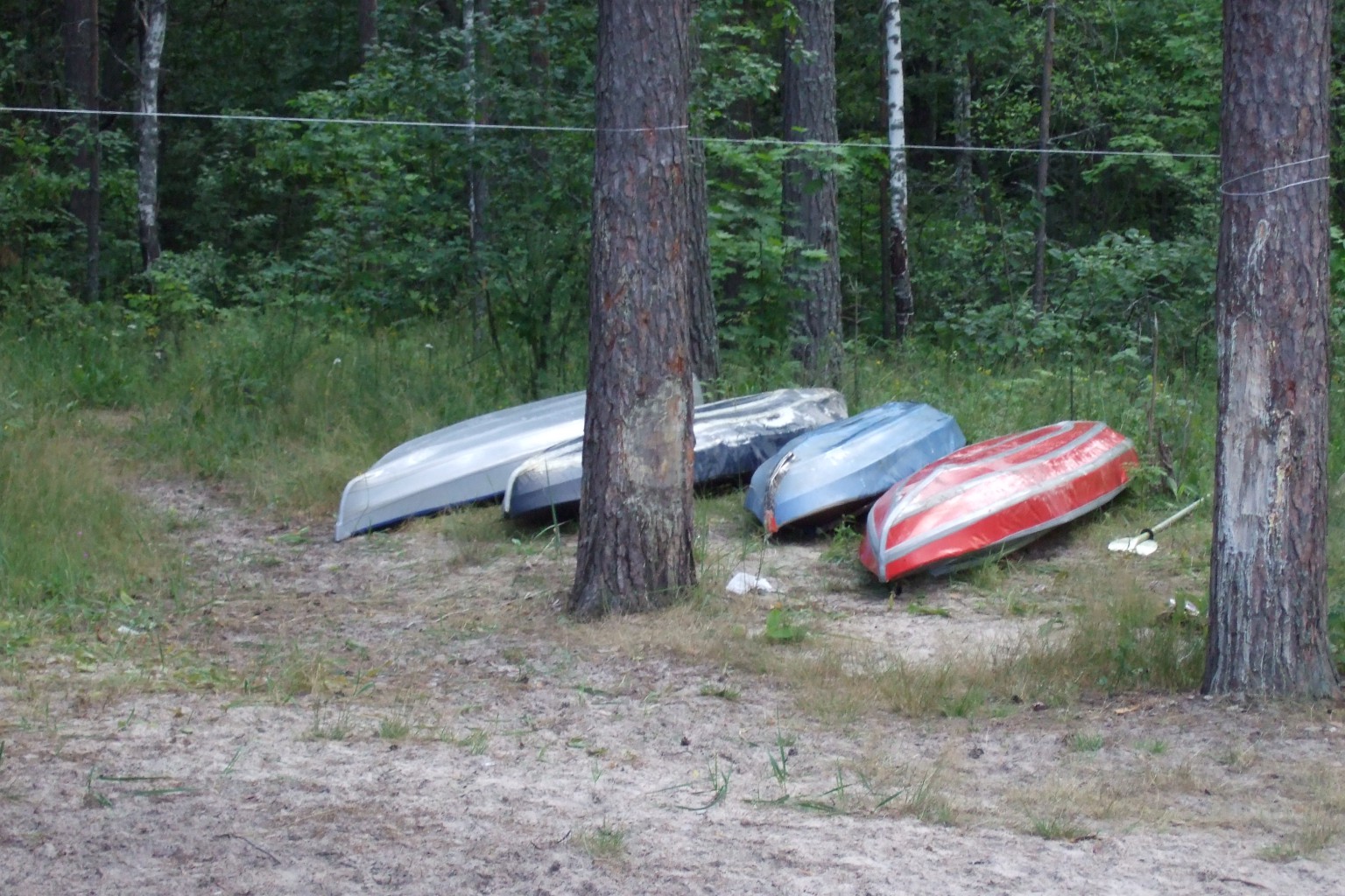 DSCF3297.jpg