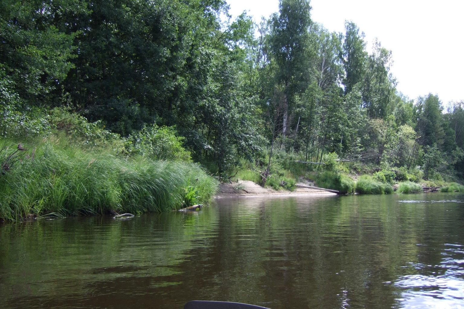 DSCF3306.jpg