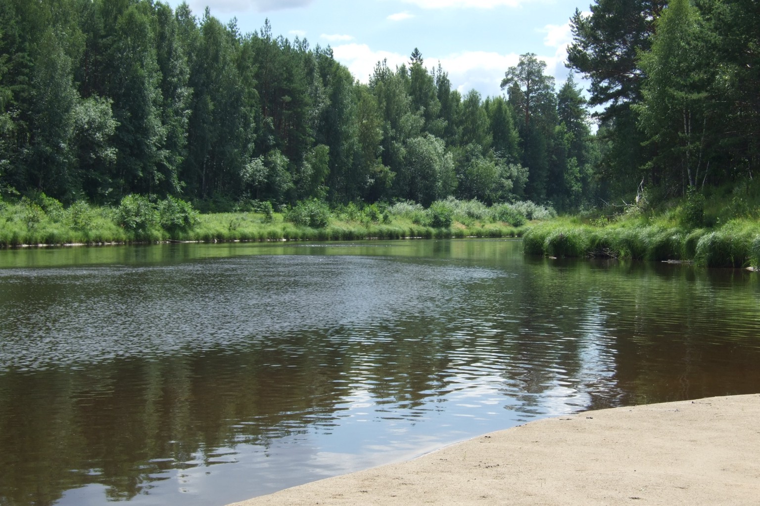 DSCF3310.jpg