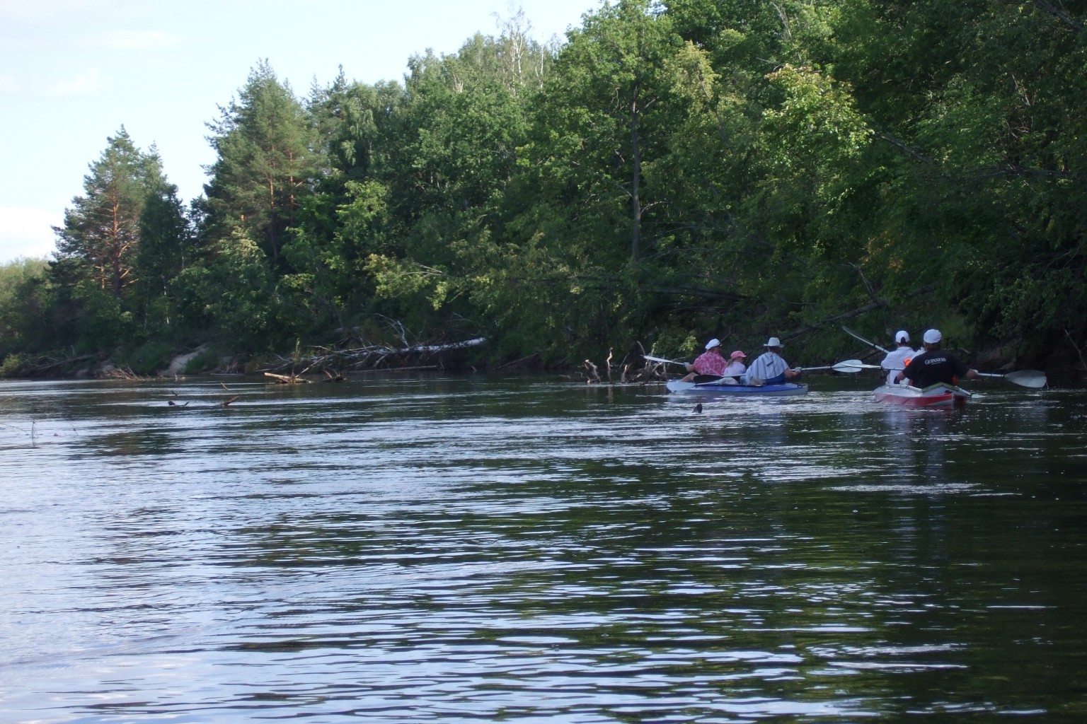DSCF3322.jpg