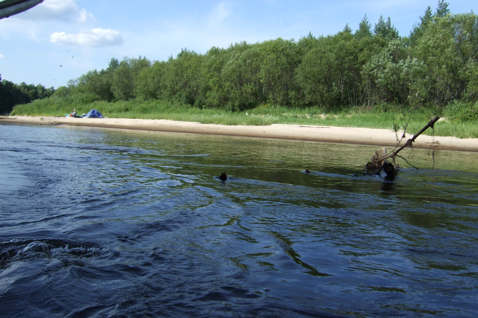 DSCF3328.jpg