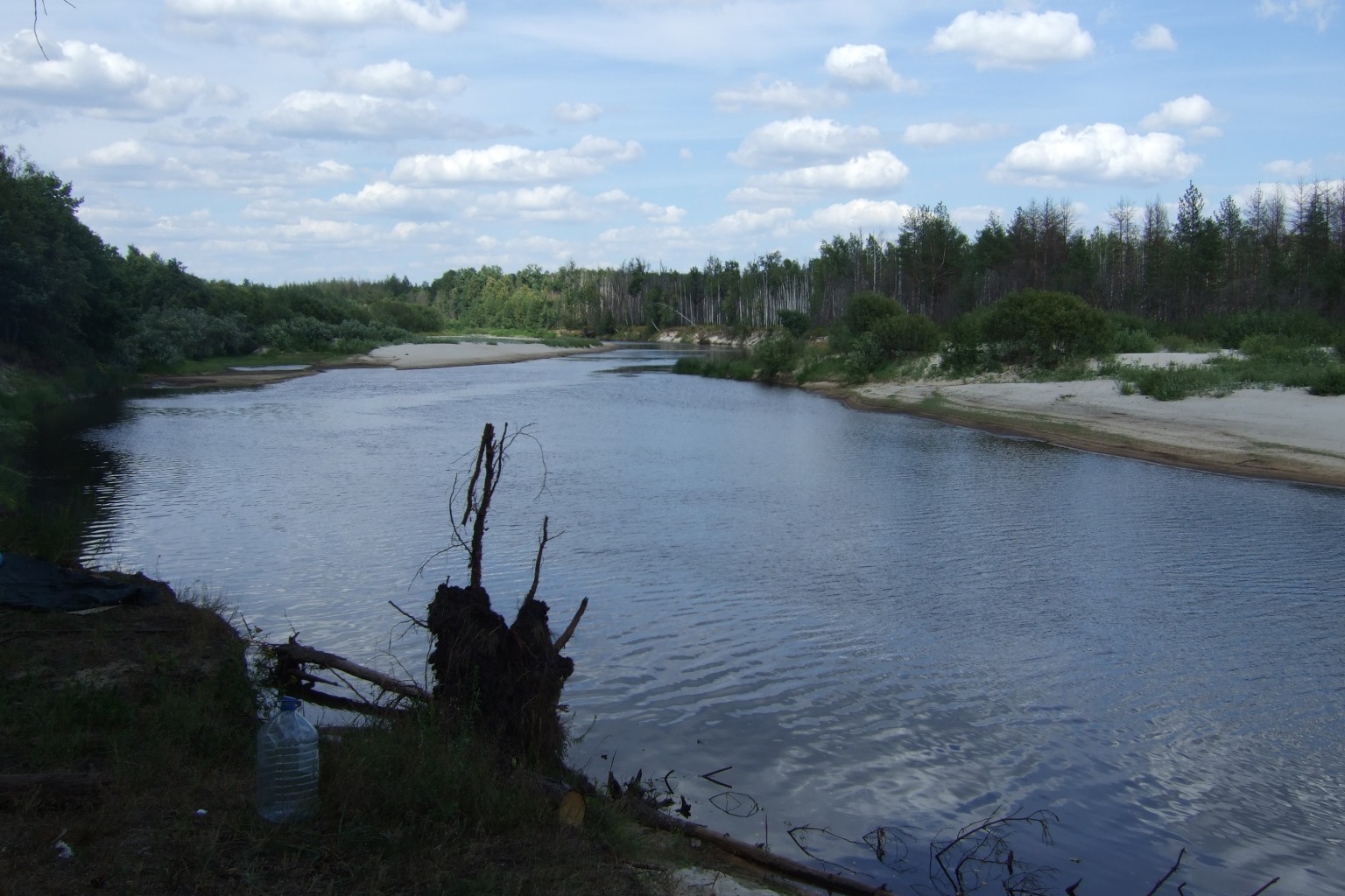 DSCF3336.jpg
