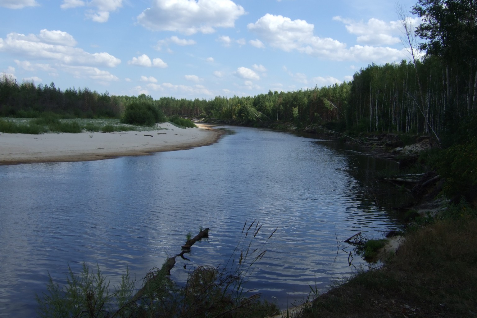 DSCF3337.jpg
