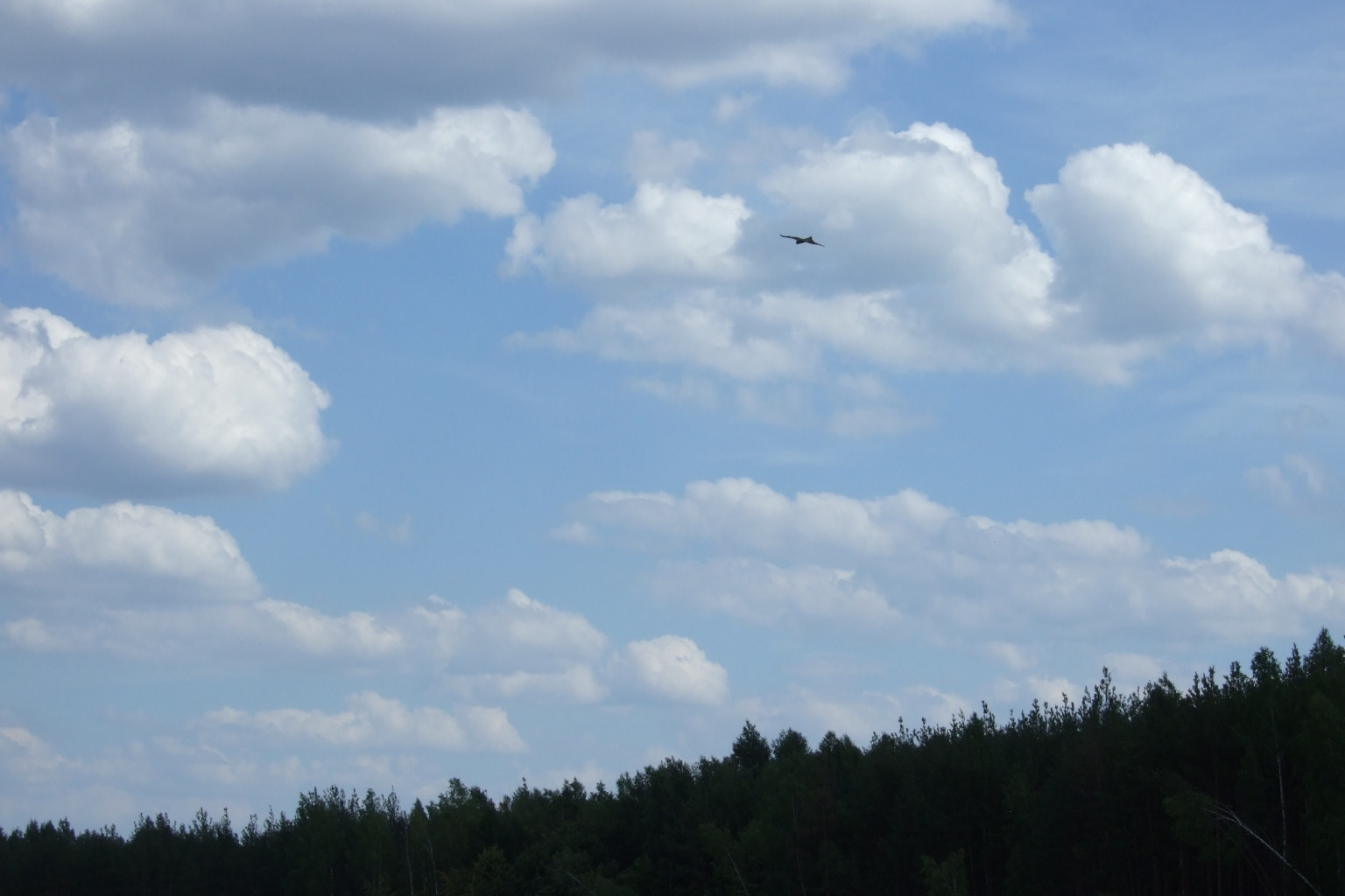 DSCF3345.jpg