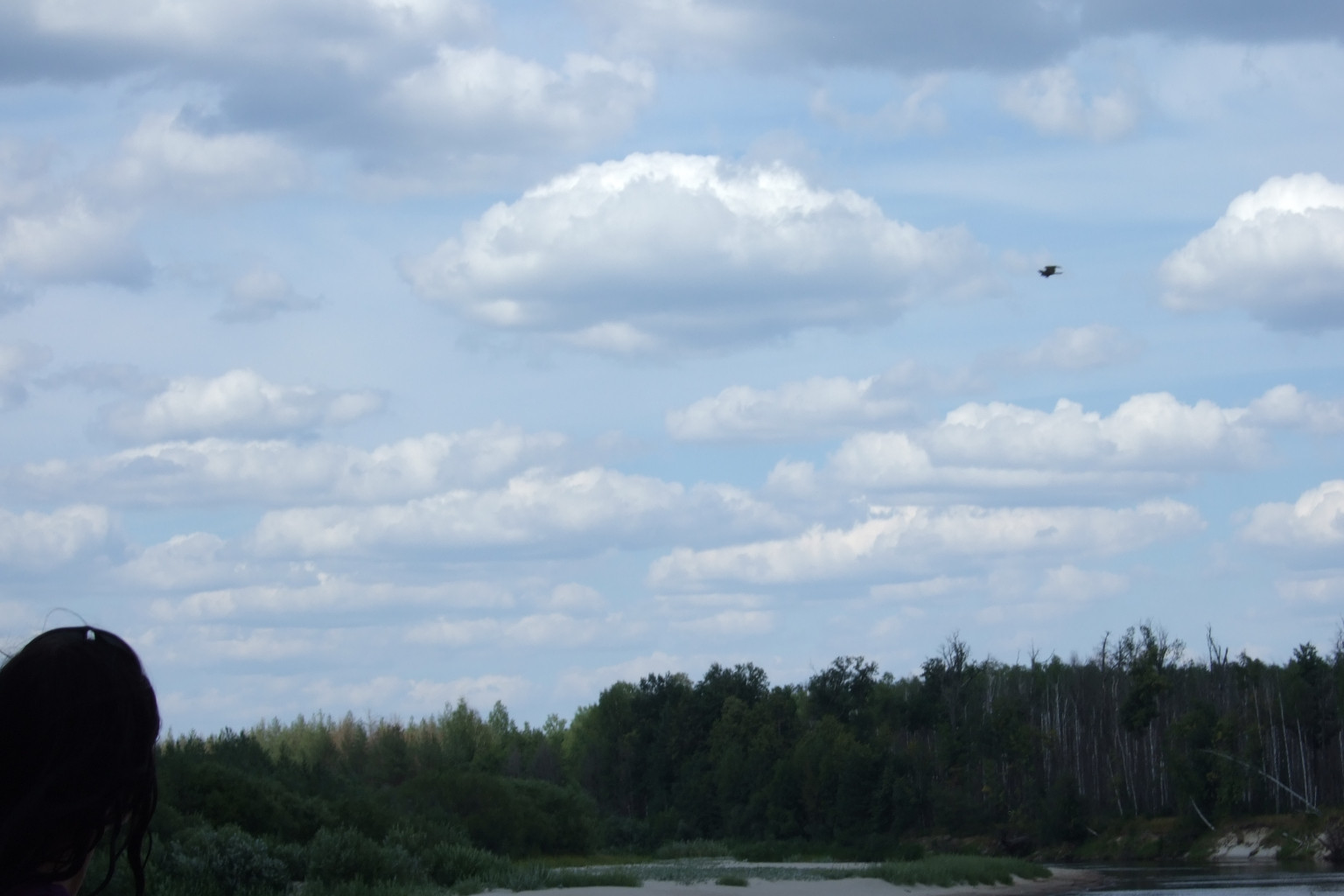 DSCF3347.jpg