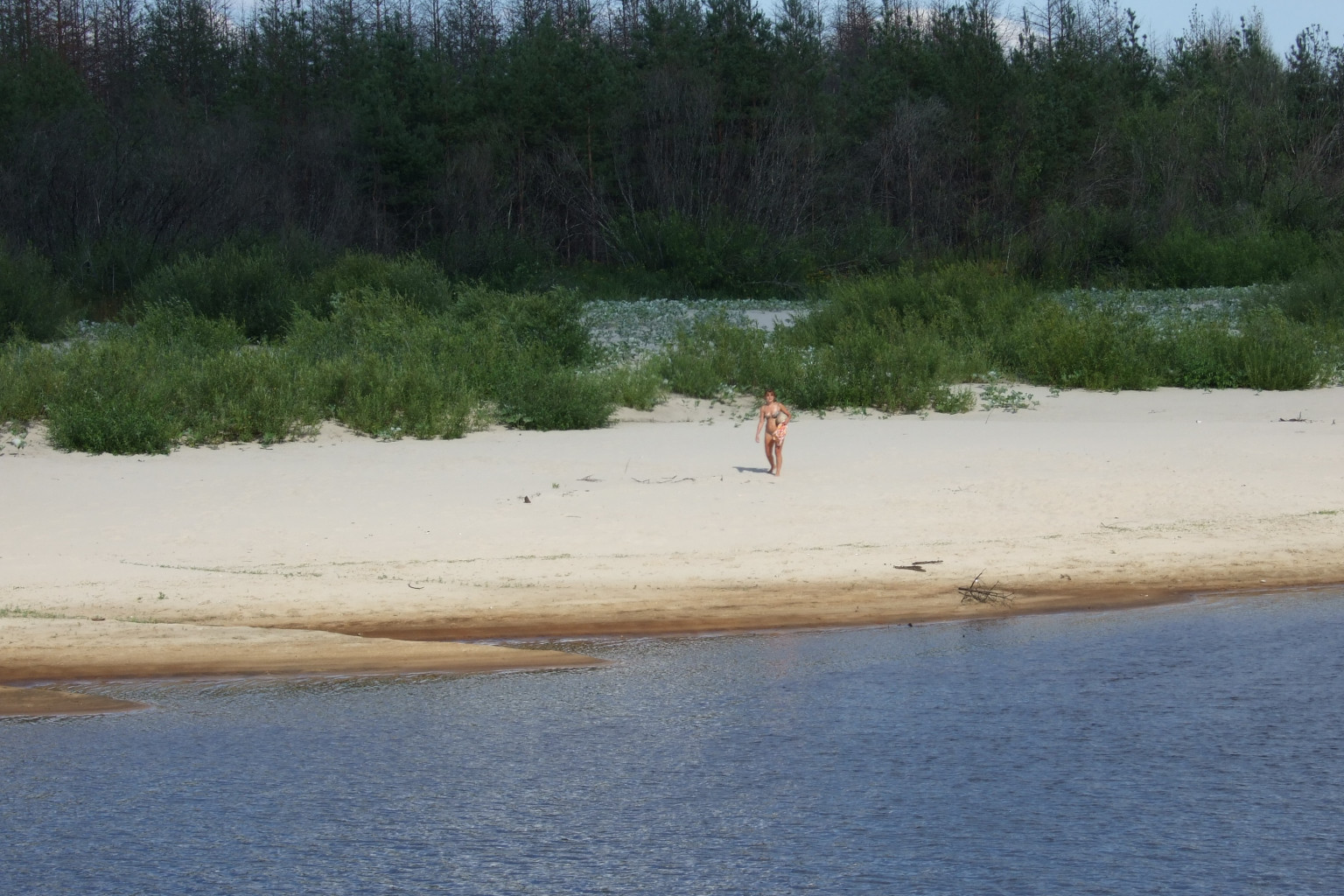 DSCF3356.jpg