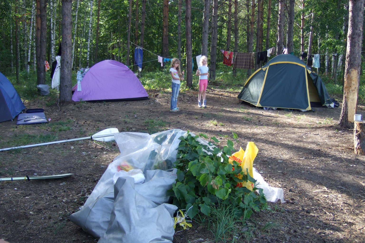 DSCF3371.jpg