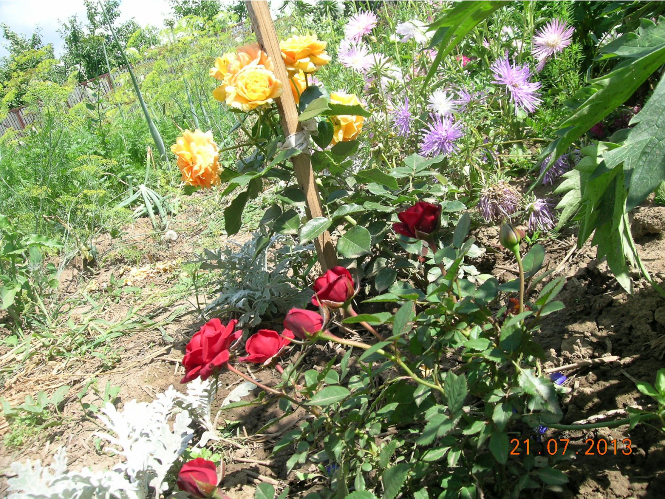 DSCN6176.JPG