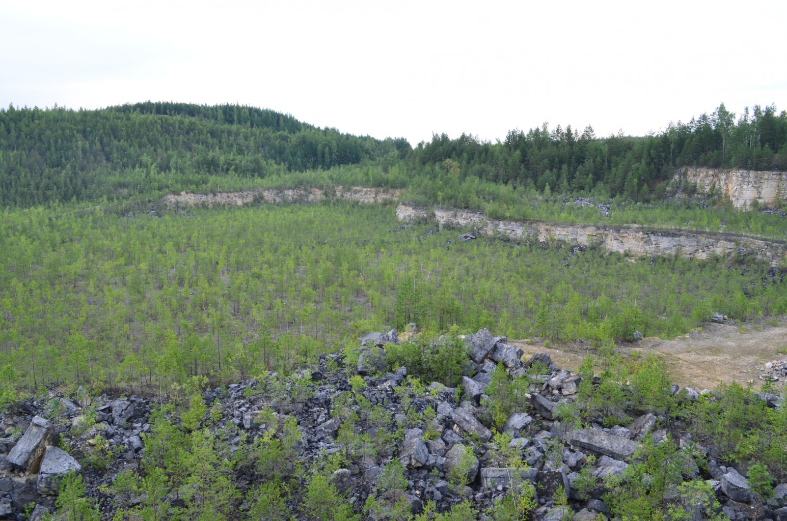 DSC_0343.JPG