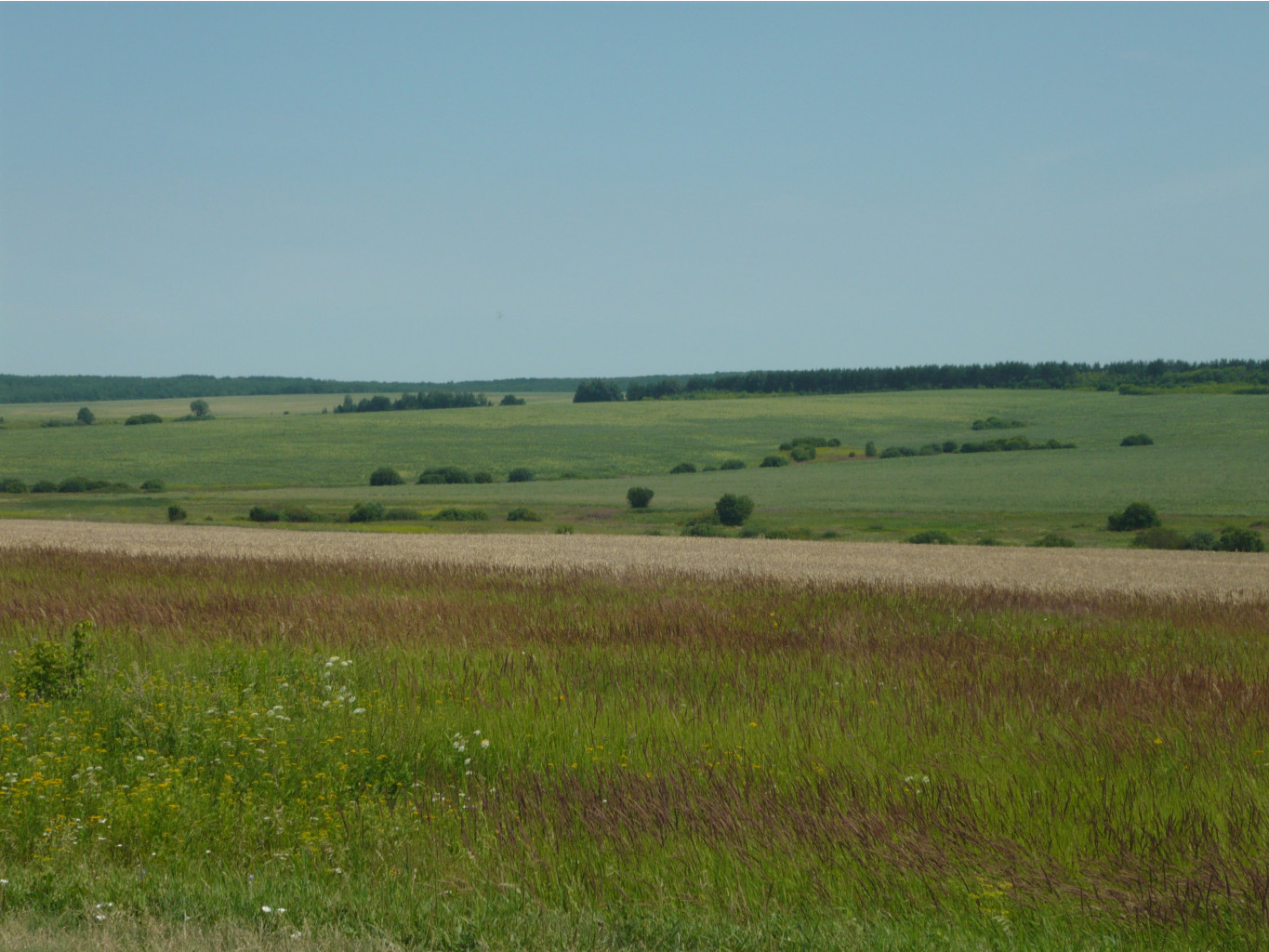 P1270660.JPG
