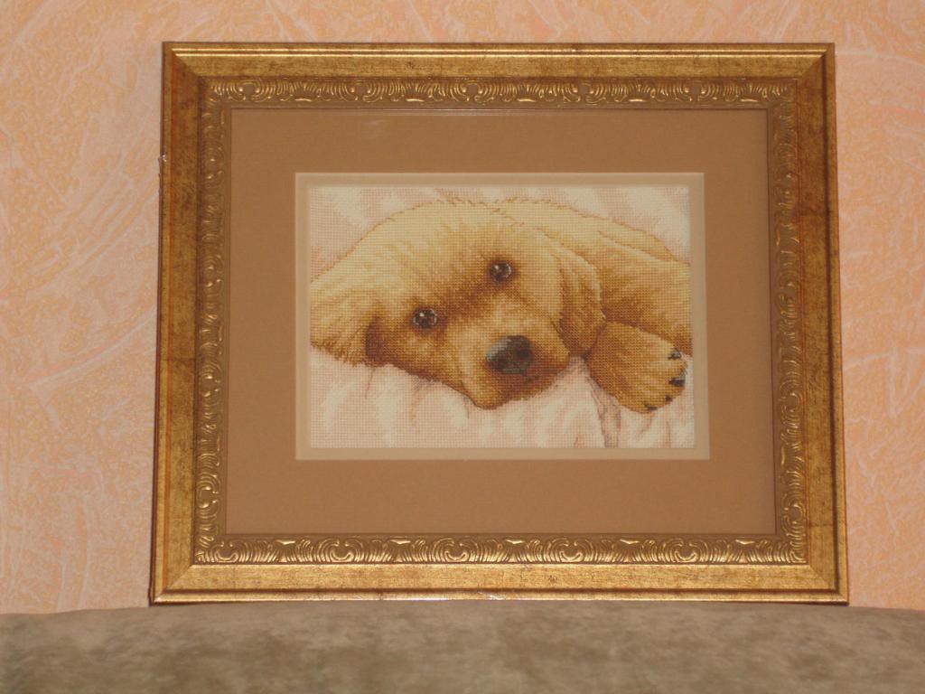 Dim 65038 Golden Puppy.JPG