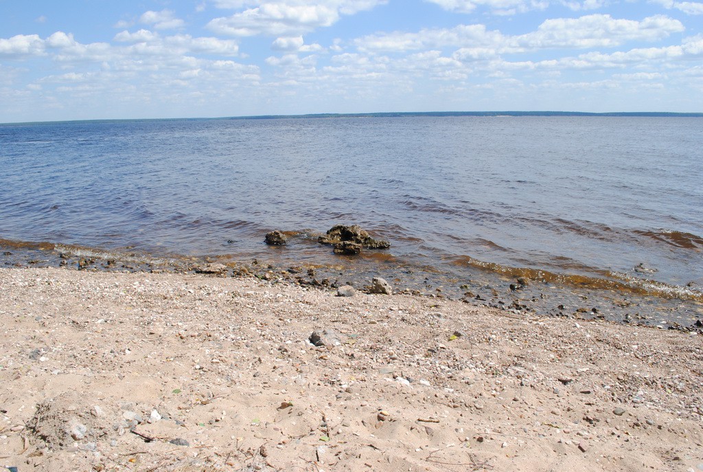 DSC_0096_ .jpg