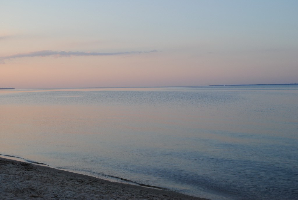 DSC_0223_ .jpg