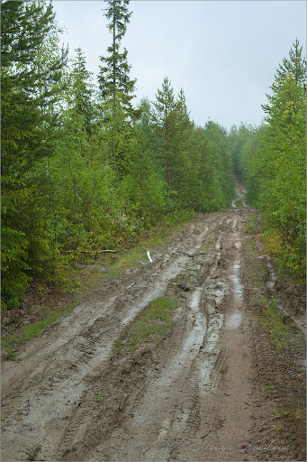 IMG_7338.jpg