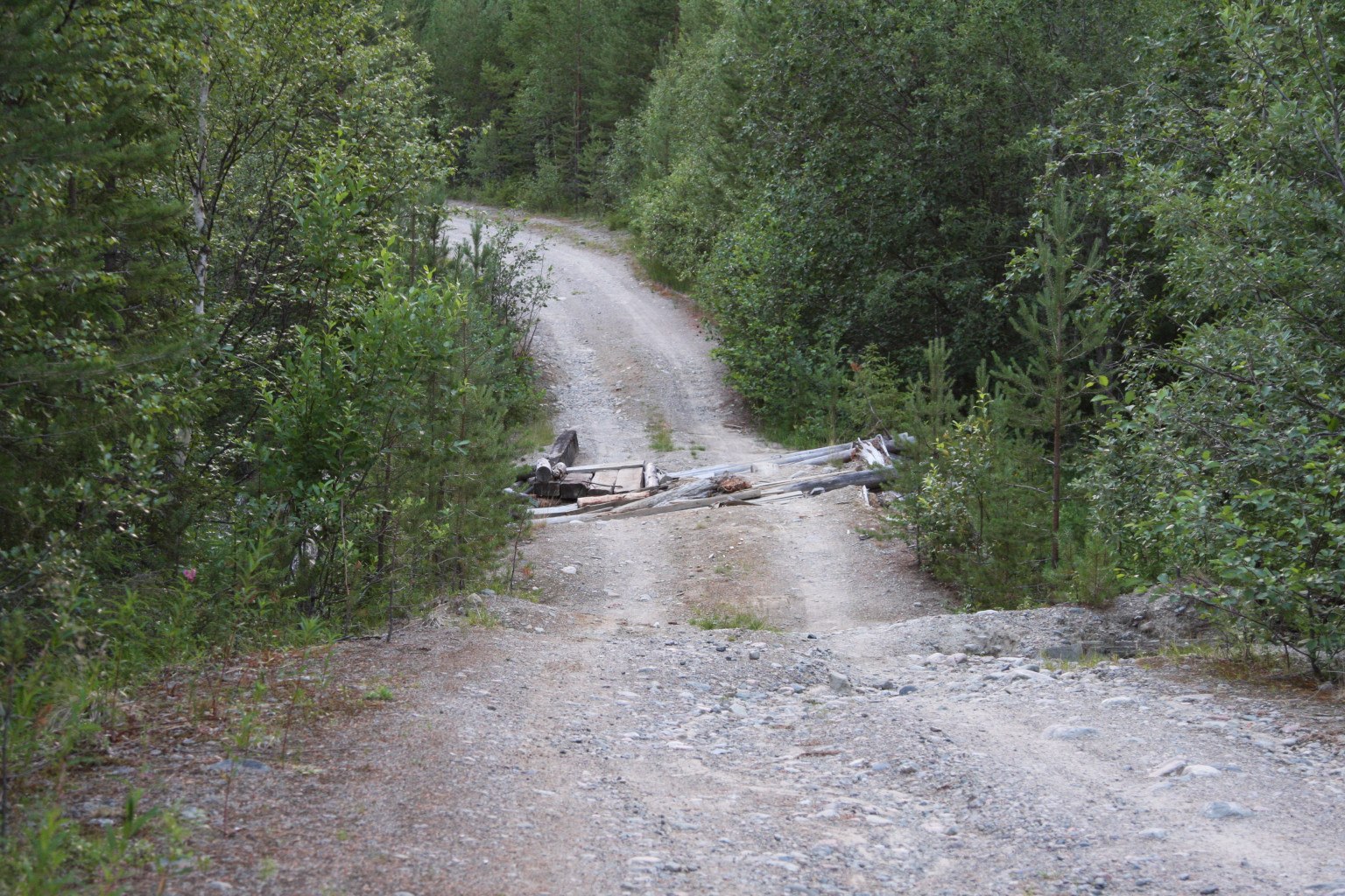 IMG_7763.JPG