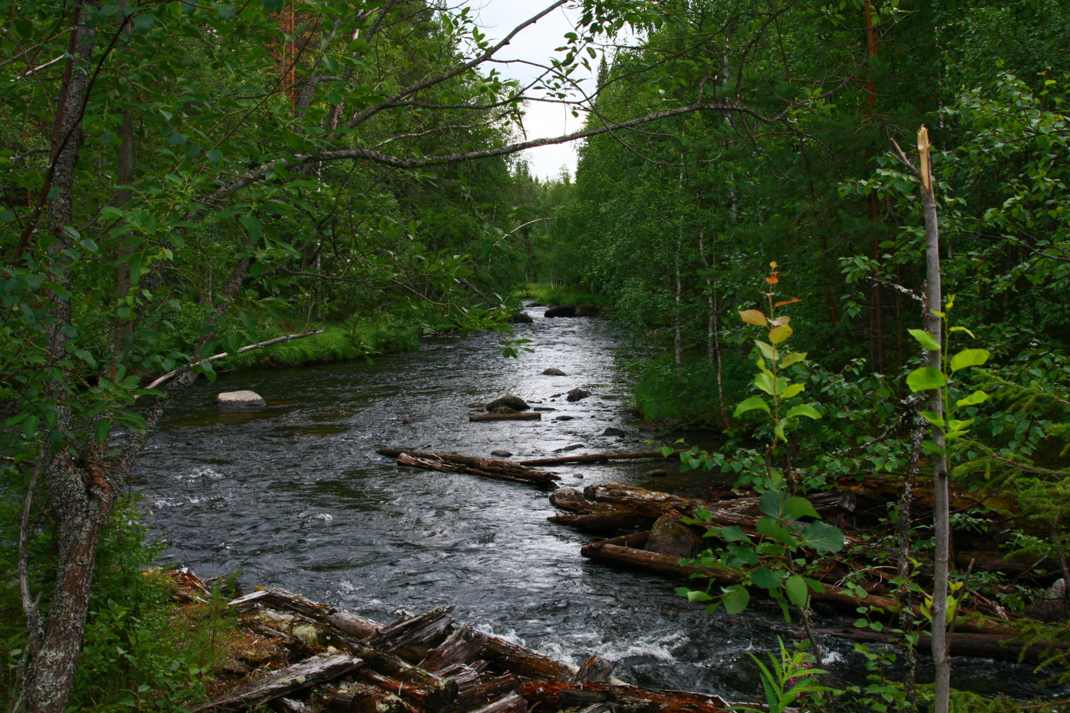 IMG_7874.JPG