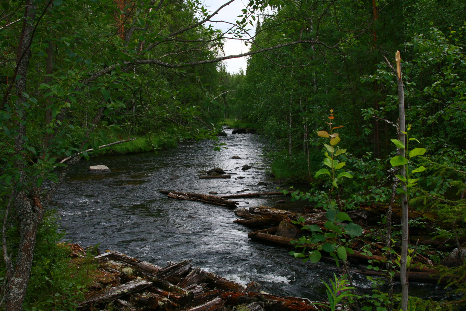 IMG_7875.JPG
